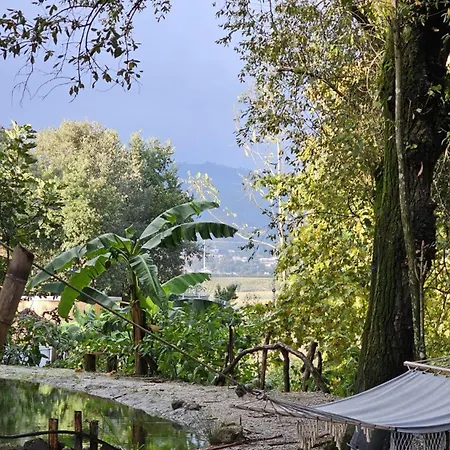 Kamp alanı Quinta Miminel Rabuide