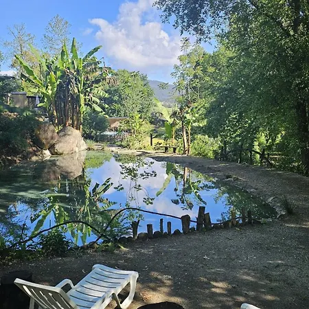 Quinta Miminel Kamp alanı *